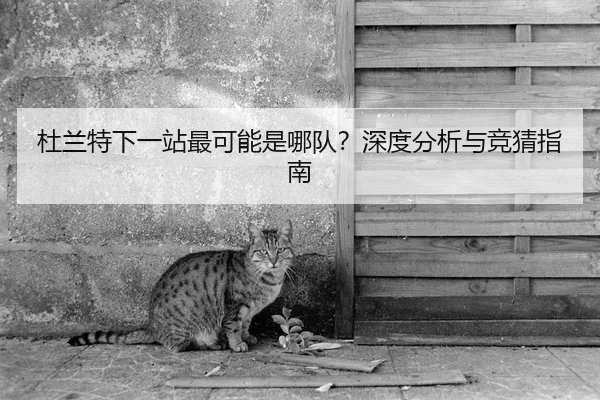 杜兰特下一站最可能是哪队？深度分析与竞猜指南
