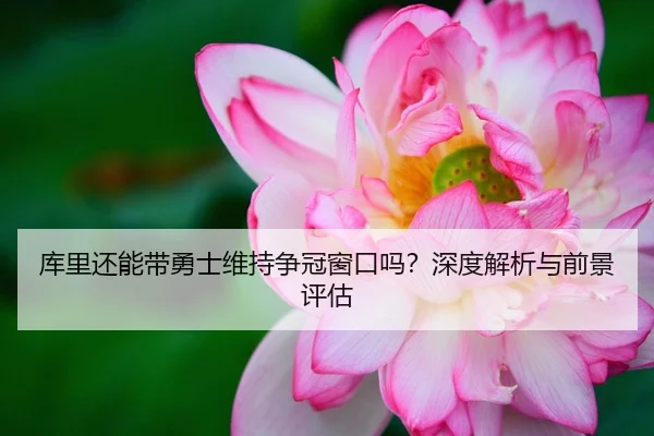 库里还能带勇士维持争冠窗口吗？深度解析与前景评估